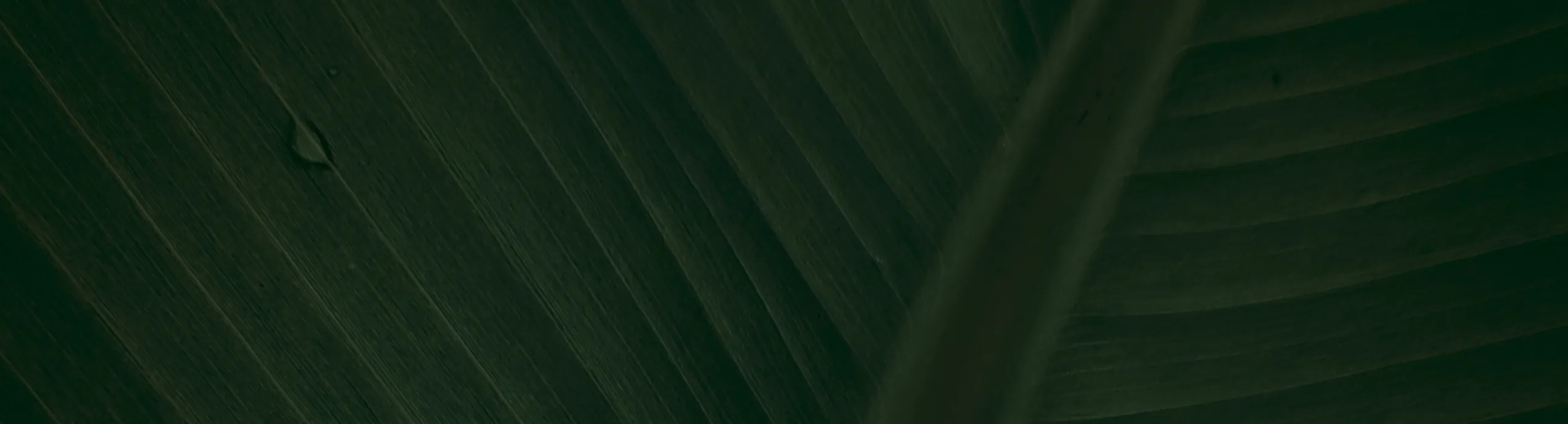 EcoJon Eco-Friendly Refillable Dispenser